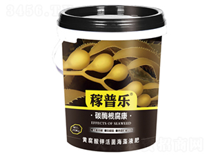 ̼ø������-���՘�-���ɷʘI(y��)