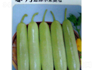 ����-�S�ϷN��-���A�N�I(y��)