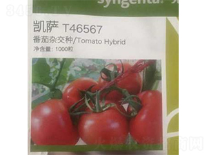 �P�_-���ѷN��-���A�N�I(y��)