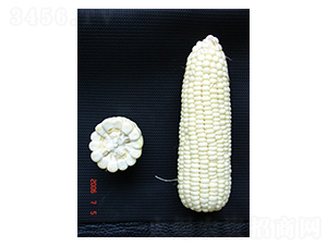 ����Ŵ1̖(h��o)-Ŵ���׷N��-���r(n��ng)�l(f��)