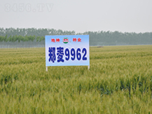 ����9962-С���N��-���r(n��ng)�l(f��)