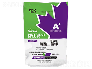 �ЙC(j��)����������-���տ�-���|��