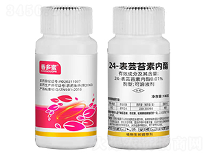 24-���|̦�؃�(n��i)��-�����-�r(n��ng)�_����