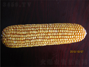 �r(n��ng)��8-���׷N��-�r(n��ng)��N�I(y��)