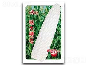 ճ����һ̖(h��o)-Ŵ���׷N��-����˹