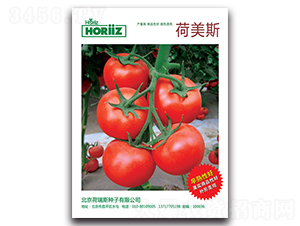 ����˹-���ѷN��-����˹