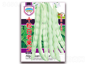 ʮ�����ρ���-���ǷN��-��ͷN�I(y��)