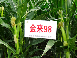 ����98-���׷N��-�����N�I(y��)