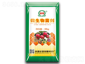 ΢�������-�s��