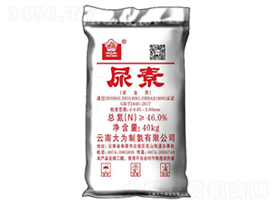 40kg����-����ư�