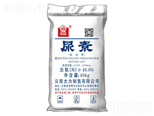 ����-����ư�