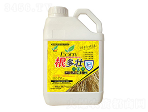 ������-���S����