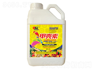 �ך���-���S���r(n��ng)-���S����