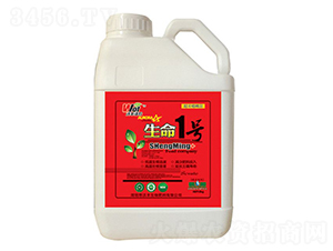 ����1̖-���S���r(n��ng)-���S����