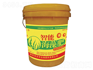 ���ܺ����-���S����