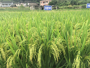 ������(y��u)140-ˮ���N��-�����r�I(y��)