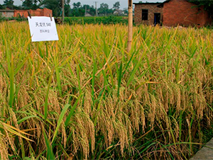 ������(y��u)540-ˮ���N��-�����r�I(y��)