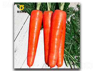 ��t����-���}���N��-���r(n��ng)�N��