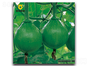 ���r(n��ng)����-�ϹϷN��-���r(n��ng)�N��