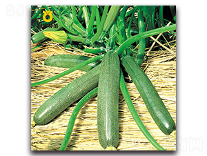 ̫�-�ϹϷN��-���r(n��ng)�N��