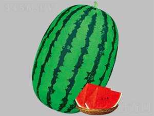 �����r(sh��)��-���ϷN��-����N�I(y��)