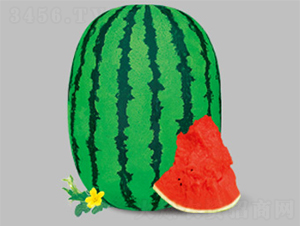 �|������-���ϷN��-����N�I(y��)