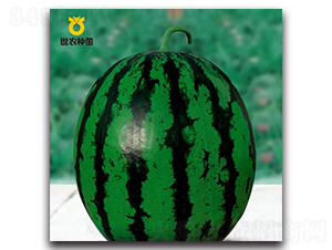 SN�ۿ�-���ϷN��-���r(n��ng)�N��