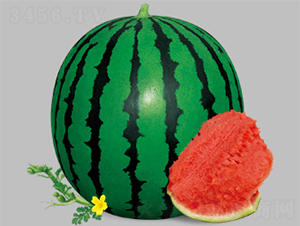 �挚�����-���ϷN��-����N�I(y��)