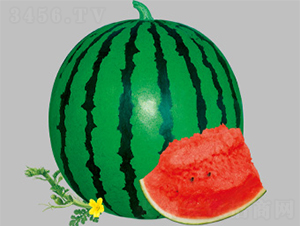 ���t-7-���ϷN��-����N�I(y��)