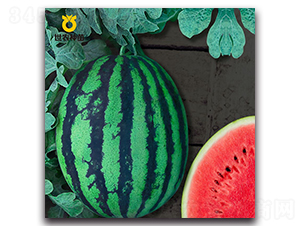 ���-���ϷN��-���r(n��ng)�N��