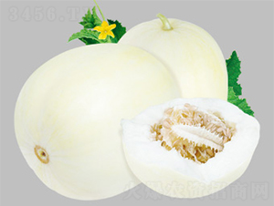 ������-��ϷN��-����N�I(y��)