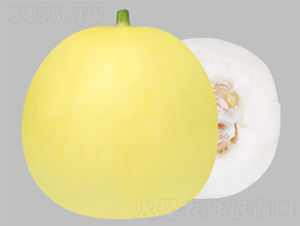 ����20-��ϷN��-����N�I(y��)