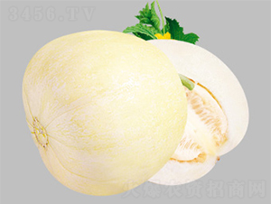 ������̖(h��o)-��ϷN��-����N�I(y��)