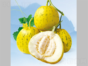 ���𱪼y-��ϷN��-����N�I(y��)