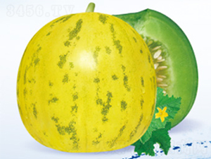 ����M����-��ϷN��-����N�I(y��)