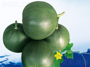 �������-��ϷN��-����N�I(y��)