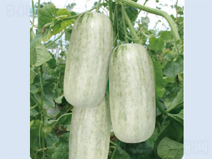 �����72-��ϷN��-����N�I(y��)