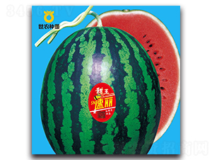 SN����-���ϷN��-���r(n��ng)�N��