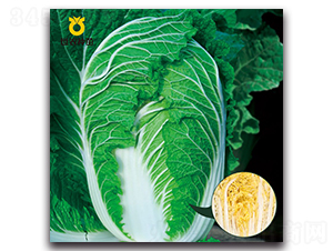 ���S-�ײ˷N��-���r(n��ng)�N��