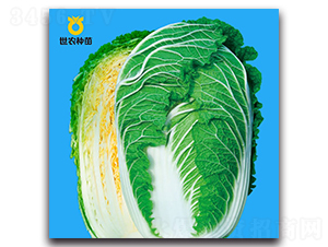 �n��-�ײ˷N��-���r(n��ng)�N��