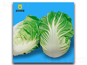 �Ĺ�-�ײ˷N��-���r(n��ng)�N��