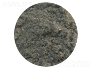 �����ЙC��-�ɺ�