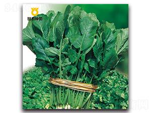 ϲ��?c��)~�}��-�}���N��-���r(n��ng)�N��