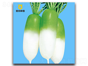 ���r(n��ng)806-�}���N��-���r(n��ng)�N��