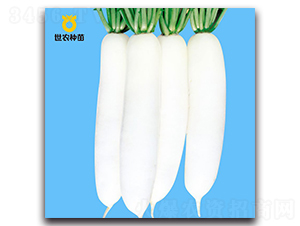 ������-�}���N��-���r(n��ng)�N��