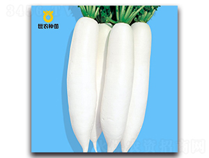 ����-�}���N��-���r(n��ng)�N��