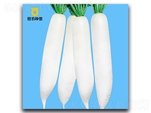 YR�°���-�}���N��-���r(n��ng)�N��