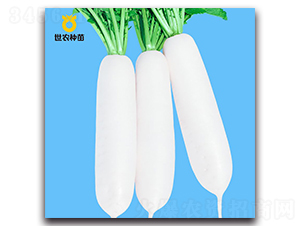 ���r(n��ng)����-�}���N��-���r(n��ng)�N��