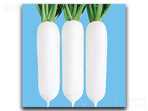 CR���r(n��ng)301-�}���N��-���r(n��ng)�N��