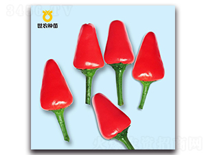 �׿���-�����N��-���r(n��ng)�N��